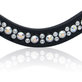 Onyx (18 mm breed)