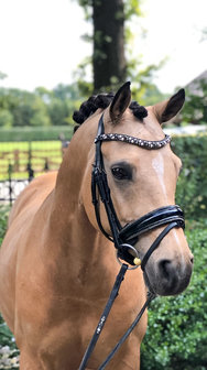 Browband Swarovski Crystal Fabric silver diamond