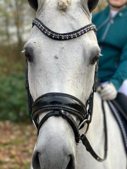 Bridle Swarovski Crystal Fabric black