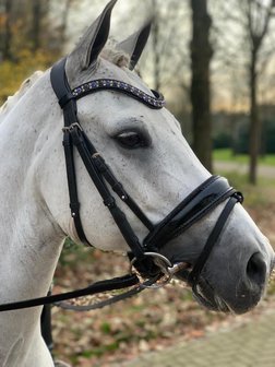 Bridle Swarovski Crystal Fabric black