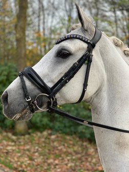 Bridle Swarovski Crystal Fabric black
