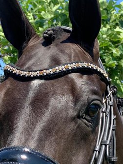 Bridle Swarovski Crystal Fabric black