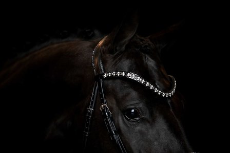 JUDI bridle Rocks metallic silver