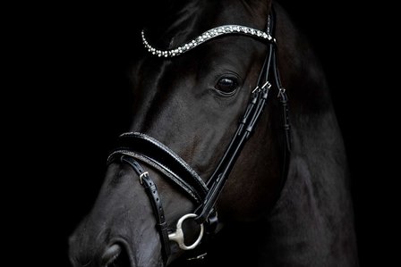 JUDI bridle Rocks metallic silver