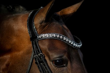 JUDI bridle Rocks metallic silver