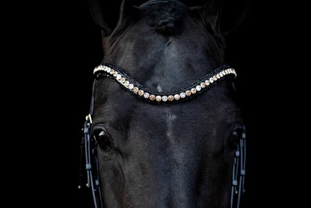 Swarovski black Browband colorado gold