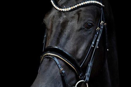 Swarovski black Browband colorado gold