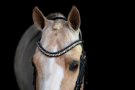 Swarovski blue Browband colorado gold