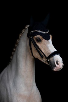 Swarovski blue Browband colorado gold