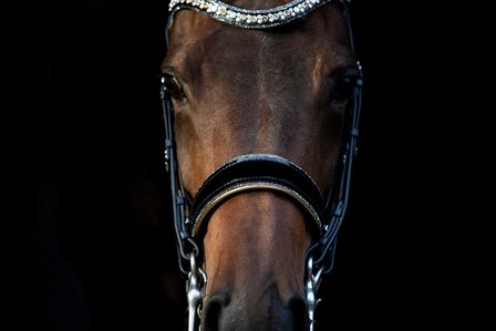 JUDI bridle Swarovski Rocks gold