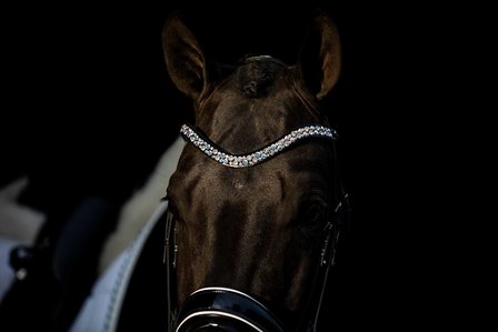 Swarovski bridle Classic white