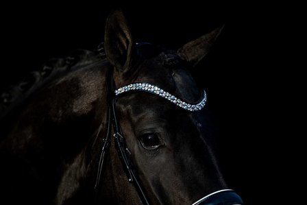 Swarovski bridle Classic white