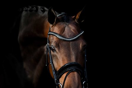 Swarovski black Browband chrome