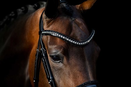 Swarovski black Browband chrome