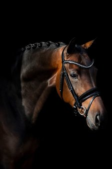 Swarovski black Browband chrome