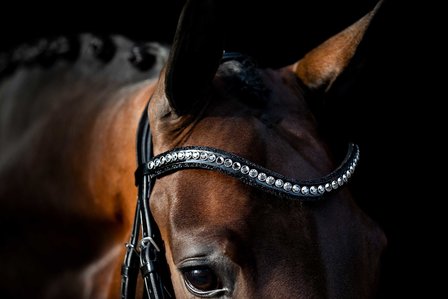 Swarovski black Browband chrome