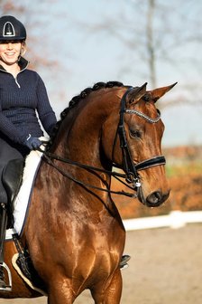 Browband Swarovski Rocks rose gold