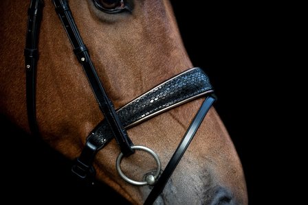 Swarovski bridle Snake browband Rocks gold nut