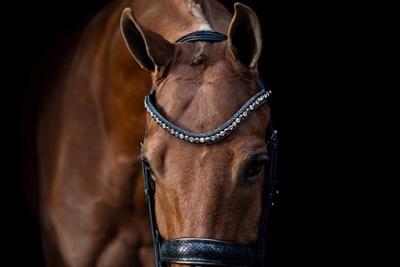 Browband Swarovski gold nut