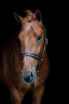 Swarovski halter Rocks gold