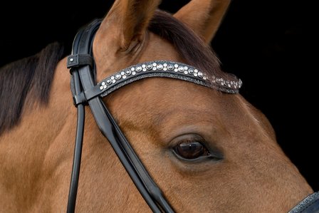 JUDI rolled bridle Rocks metallic silver