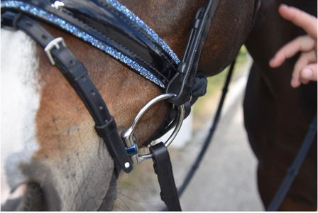 JUDI bridle Crystal Fabric blue