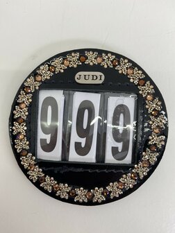 Startnummer Royal Allure traverso light gold brown