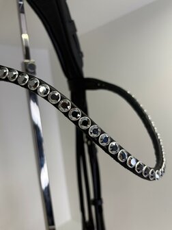 Hoofdstel  Rocks black Collier classic Chrome