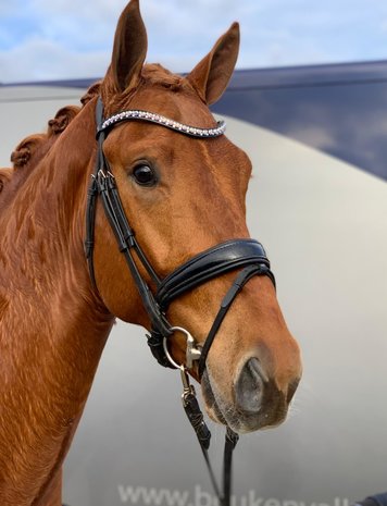 Browband Swarovski crystal AB