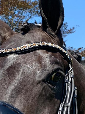 Bridle Swarovski Crystal Fabric black