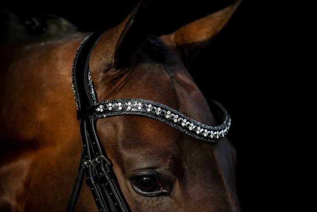 JUDI bridle Rocks metallic silver