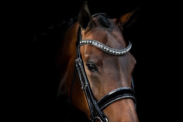 Bridle Rocks metallic silver and Rocks browband Onyx black