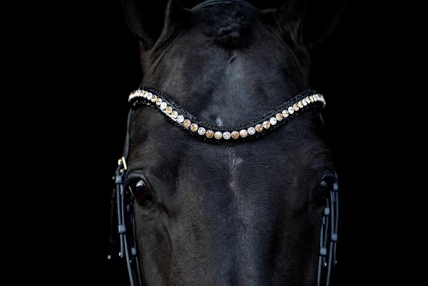 Swarovski black Browband colorado gold