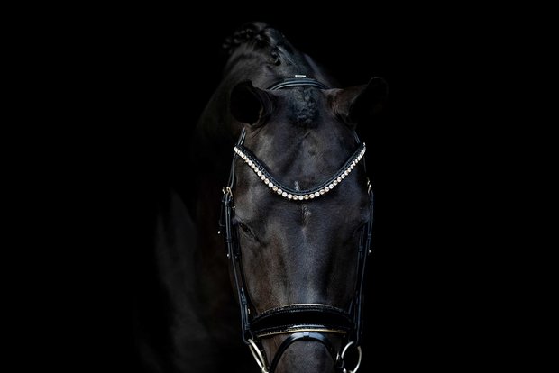 Swarovski black Browband colorado gold