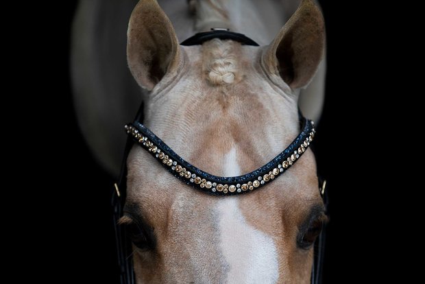 Swarovski blue Browband colorado gold