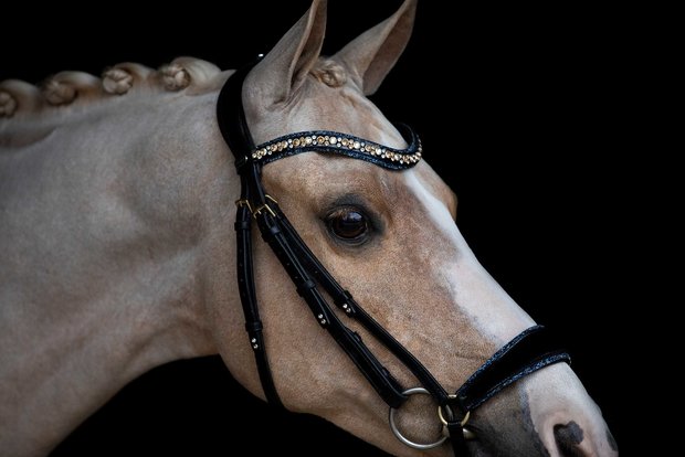 Swarovski blue Browband colorado gold