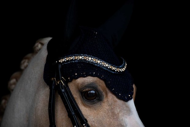 Swarovski blue Browband colorado gold