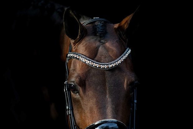 JUDI bridle Swarovski Rocks gold