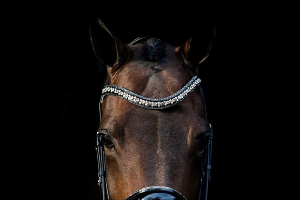 Swarovski browband Rocks gold