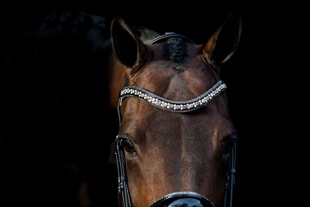 Swarovski browband Rocks gold