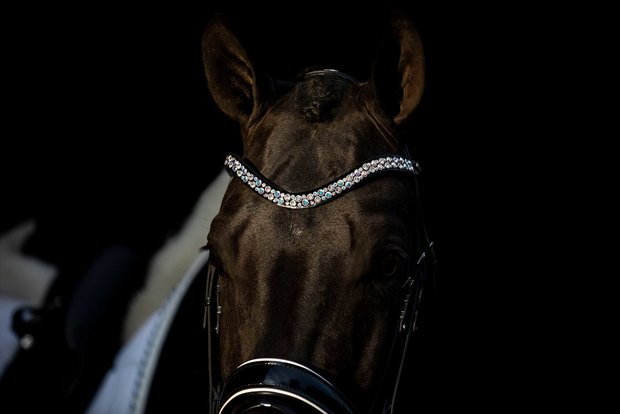 Browband Swarovski crystal AB