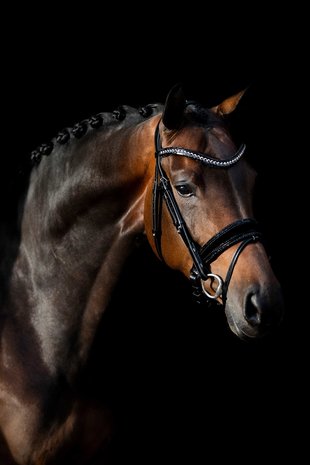 Swarovski black Browband chrome