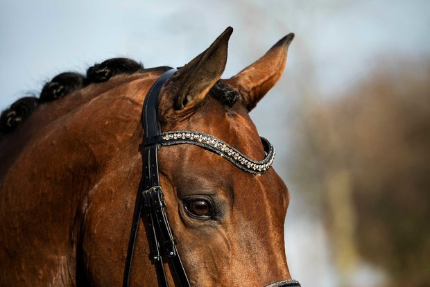 Swarovski bridle gold Browband rose gold