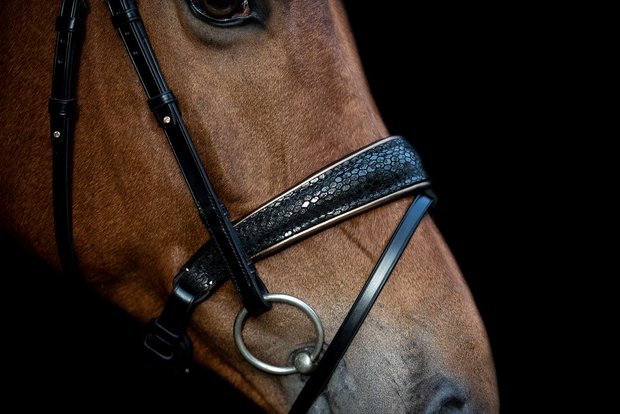 Swarovski bridle Snake browband Rocks gold nut
