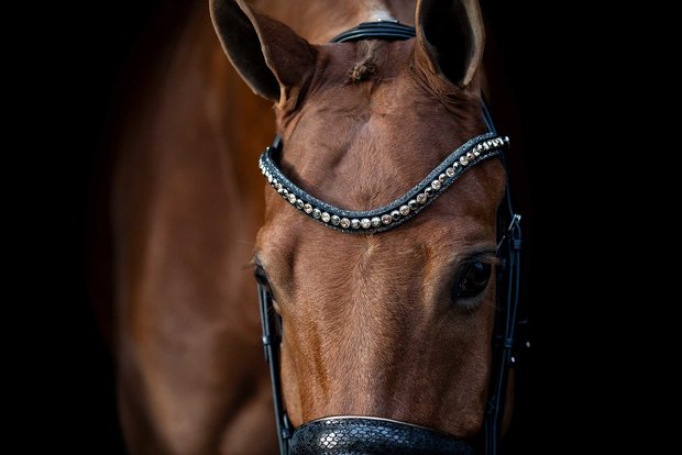 Browband Swarovski gold nut