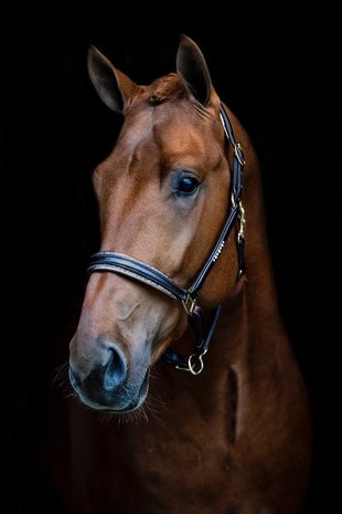 Swarovski halter Rocks gold