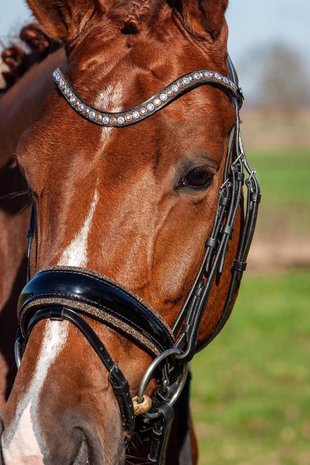 JUDI snaffle bridle Crystal Fabric gold Swarovski