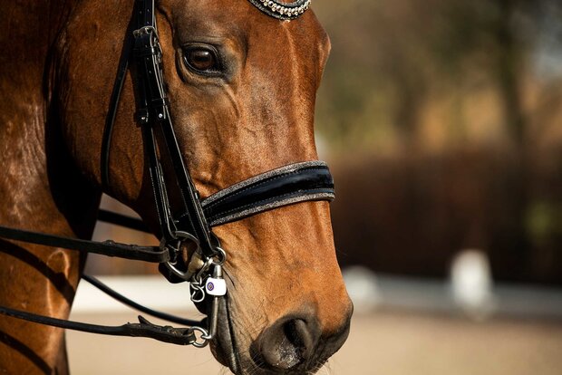 Swarovski bridle gold Browband rose gold