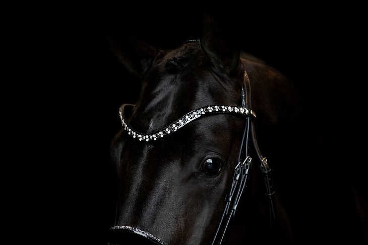 JUDI bridle Rocks metallic silver
