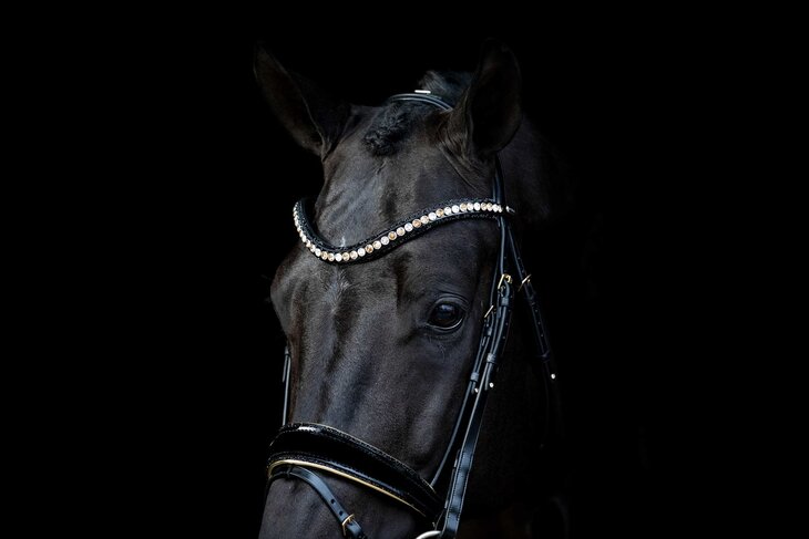 Swarovski black Browband colorado gold